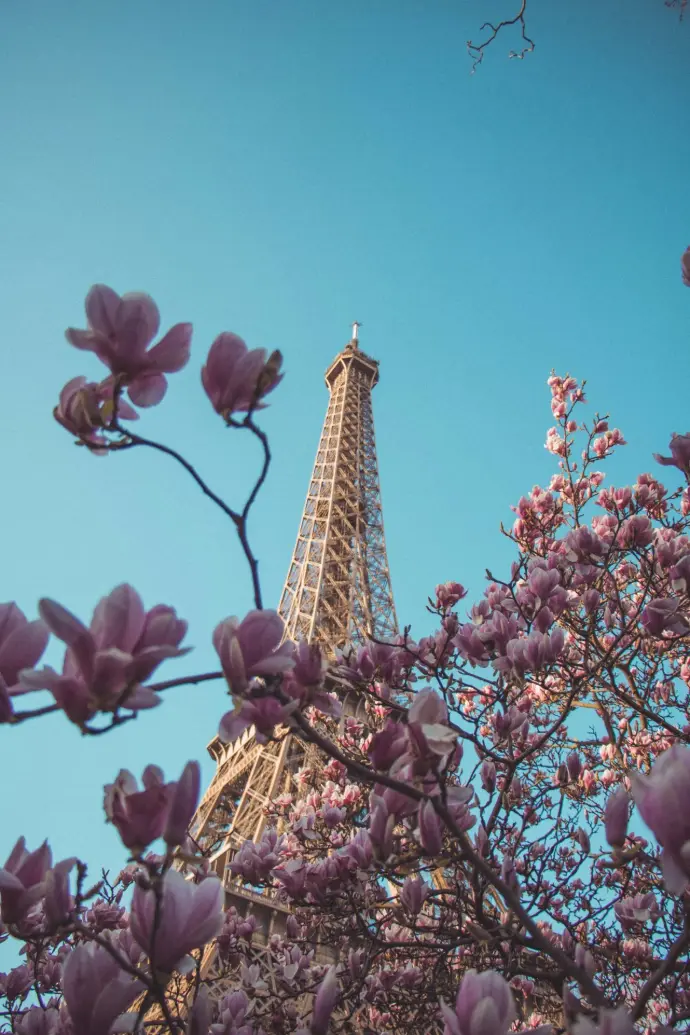 eiffel tower under blue sky during daytime